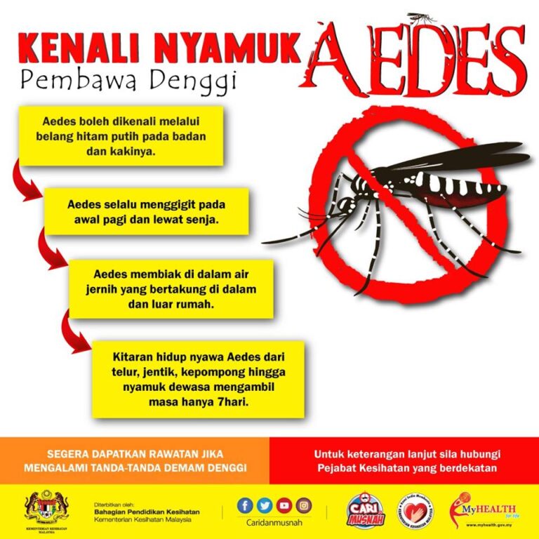 KENALI-NYAMUK-AEDES