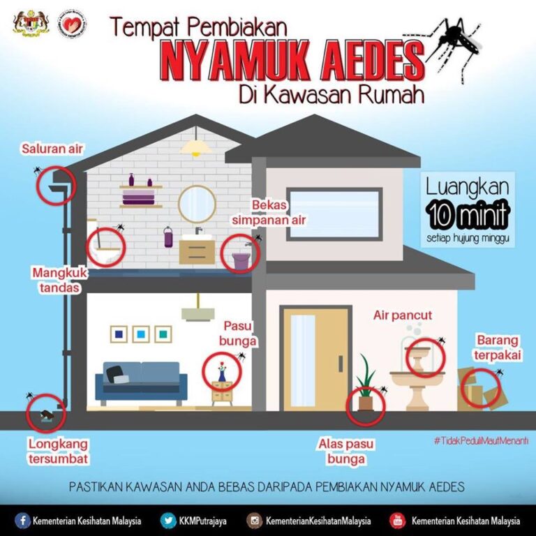 NYAMUK-DI-RUMAH